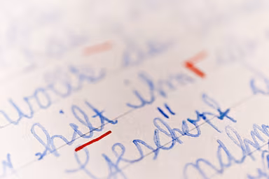 Auch im digitalen Zeitalter bildet eine gute Rechtschreibung die Basis für schulischen und beruflichen Erfolg. Auch im digitalen Zeitalter bildet eine gute Rechtschreibung die Basis für schulischen und beruflichen Erfolg.